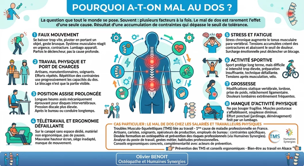 infographie sur les différentes origines d'un mal de dos. Faux mouvements, travail, stress, sédentarité, grossesse. Par Olivier BENOIT Ostéopathe et par l'entreprise Humaines Synergies spécialiste en QVCT